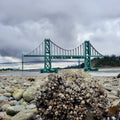 LION'S GATE Bridge Key Holder